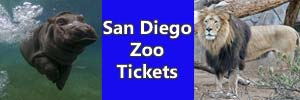 San Diego Zoo Tickets on Sale. [Photo Credit: San Diego Zoo]