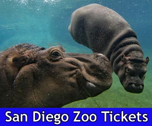San Diego Zoo Tickets