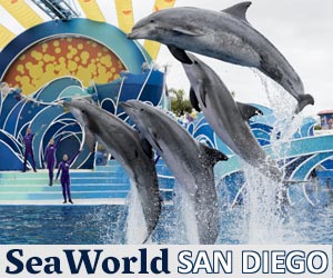 SeaWorld San Diego Tickets