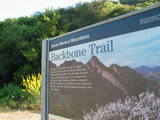 Backbone Trail, Santa Monica Mountains. [Photo Credit: LAtourist.com]