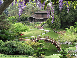 Created in 1912, the Japanese Garden features a pond spanned by a moon bridge, a traditional Japanese house and ceremonial teahouse, bonsai courts, a Zen garden, and trellises of wisteria that bloom in early spring. [Photo Credit: The Huntington Library, Art Collections, and Botanical Gardens]
