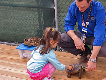 Hands-on Exhibit at Museum of Natural History. [Photo Credit: LAtourist.com]
