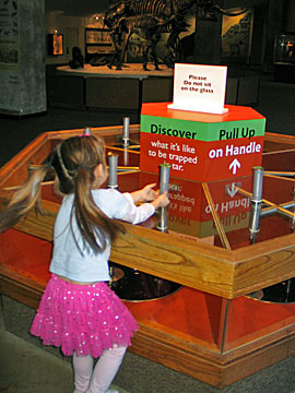 Tar Viscosity Exhibit at La Brea Tar Pits Museum (formerly called Page Museum). Try to pull the two handles, each attached to a cylinder immersed in tar. The larger cylinder is far more difficult to lift than the narrow cylinder. [Photo Credit: LAtourist.com]