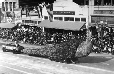 City of Glendale peacock float in the Tournament of Roses Parade in Pasadena, 1920. [Photo Credit: LA Public Library Photo Collection]