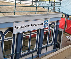 Santa Monica Pier Aquarium. [Photo Credit: LAtourist.com]