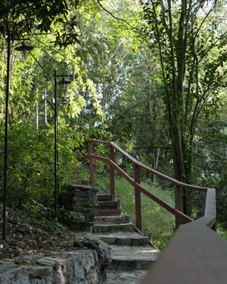 Hiking Trail at TreePeople on Mulholland Drive. [Photo Credit: LAtourist.com]